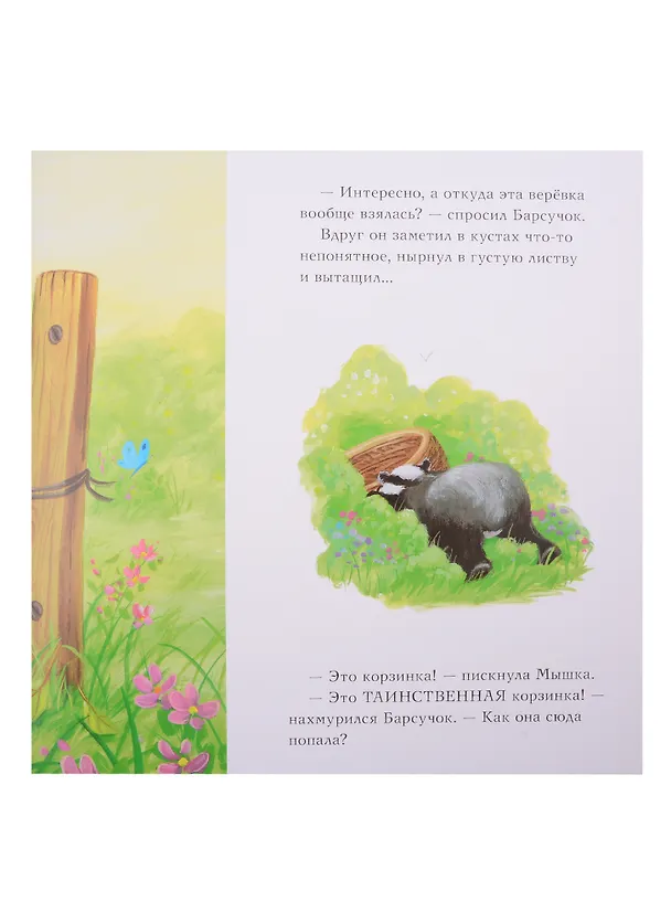 Книга Барсучок и большой шар (Сюзанна Чью) — 5