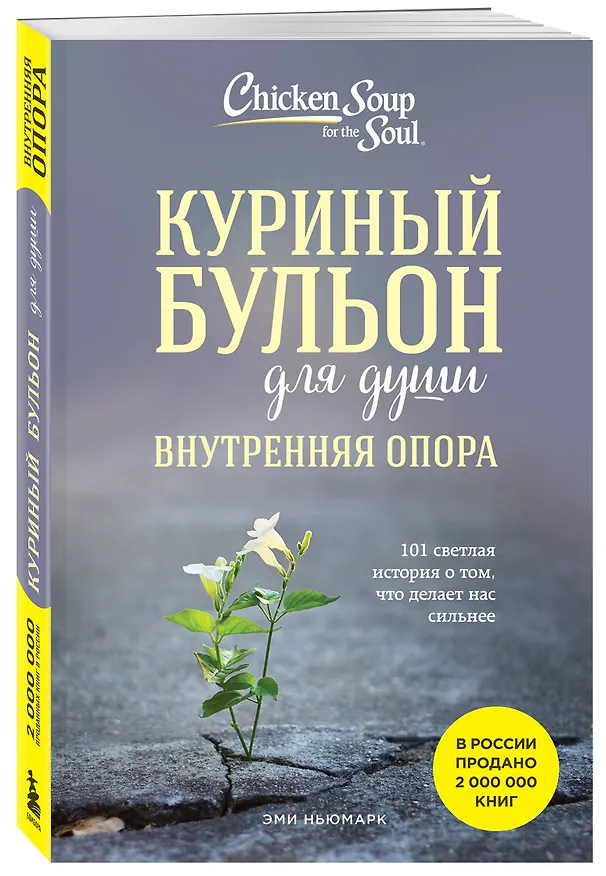Книга Куриный бульон для души. Внутренняя опора. 101 светлая история о том, что делает нас сильнее (Эми Ньюмарк) — 6