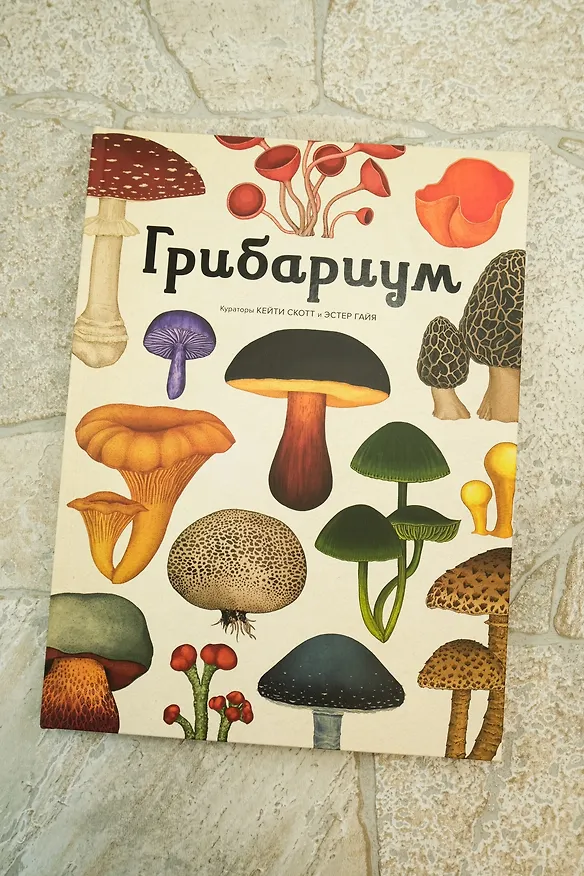 Книга Грибариум (Дэвид Л. Хауксворт, Лора М. Сьюз, Пепейн В. Кой, Каре Лиматайнен) — 7