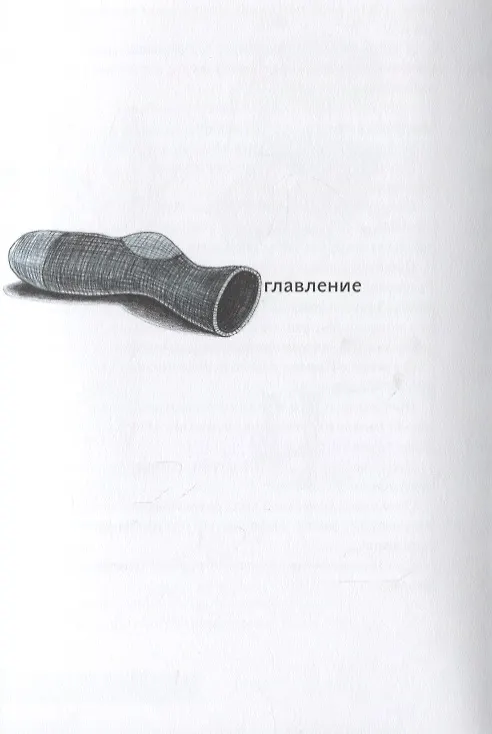 Книга Носкоеды возвращаются (Павел Шрут) — 2