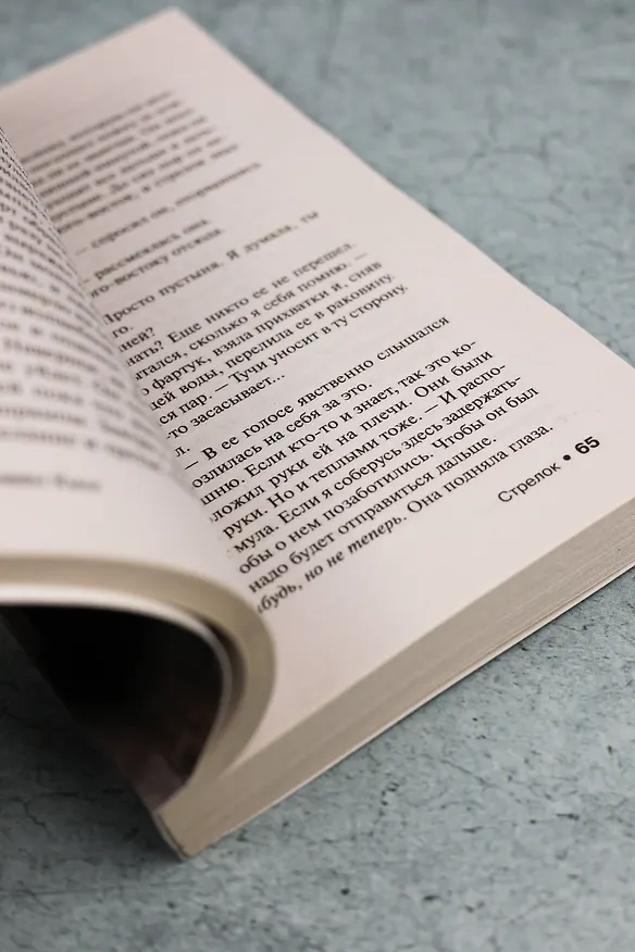 Книга Стрелок (Стивен Кинг) — 10