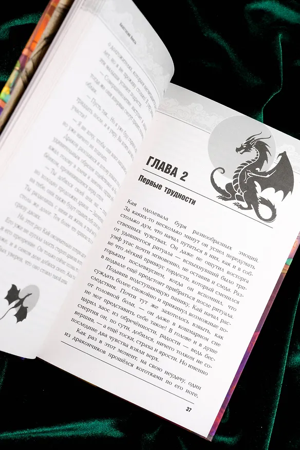 Книга Запечатление (Анастасия Князь) — 14