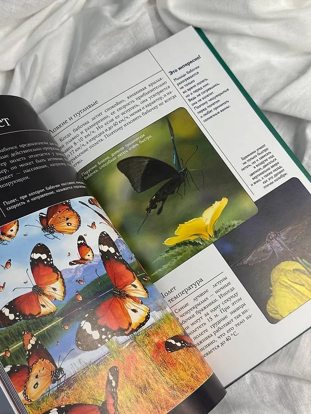 Книга Бабочки. Иллюстрированный гид (Анна Спектор) — 6