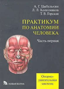 Практикум по анатомии человека. В четырех частях. Часть первая. Опорно-двигательная система