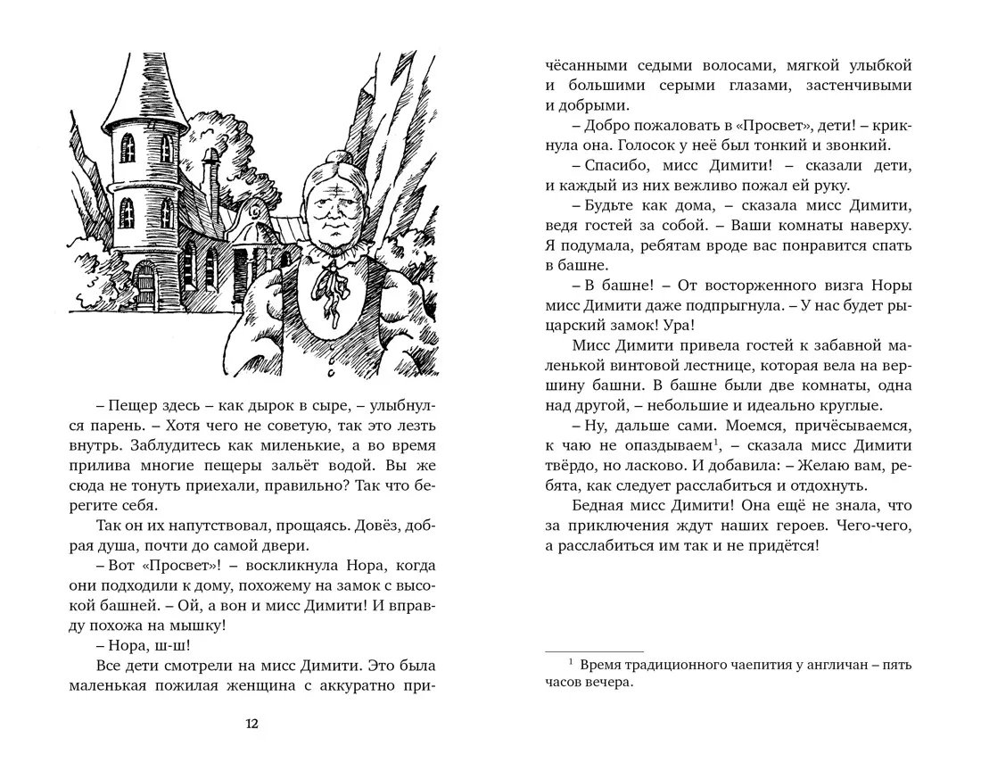 Тайна старинного грота (Энид Блайтон) - купить книгу с доставкой в  интернет-магазине «Читай-город». ISBN: 978-5-389-16137-5