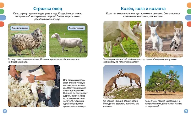 Книга Полезные машины и животные фермы (Мари-Рене Гийоре) — 12