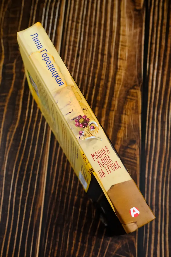 Книга Манная каша на троих (Лина Городецкая) — 9