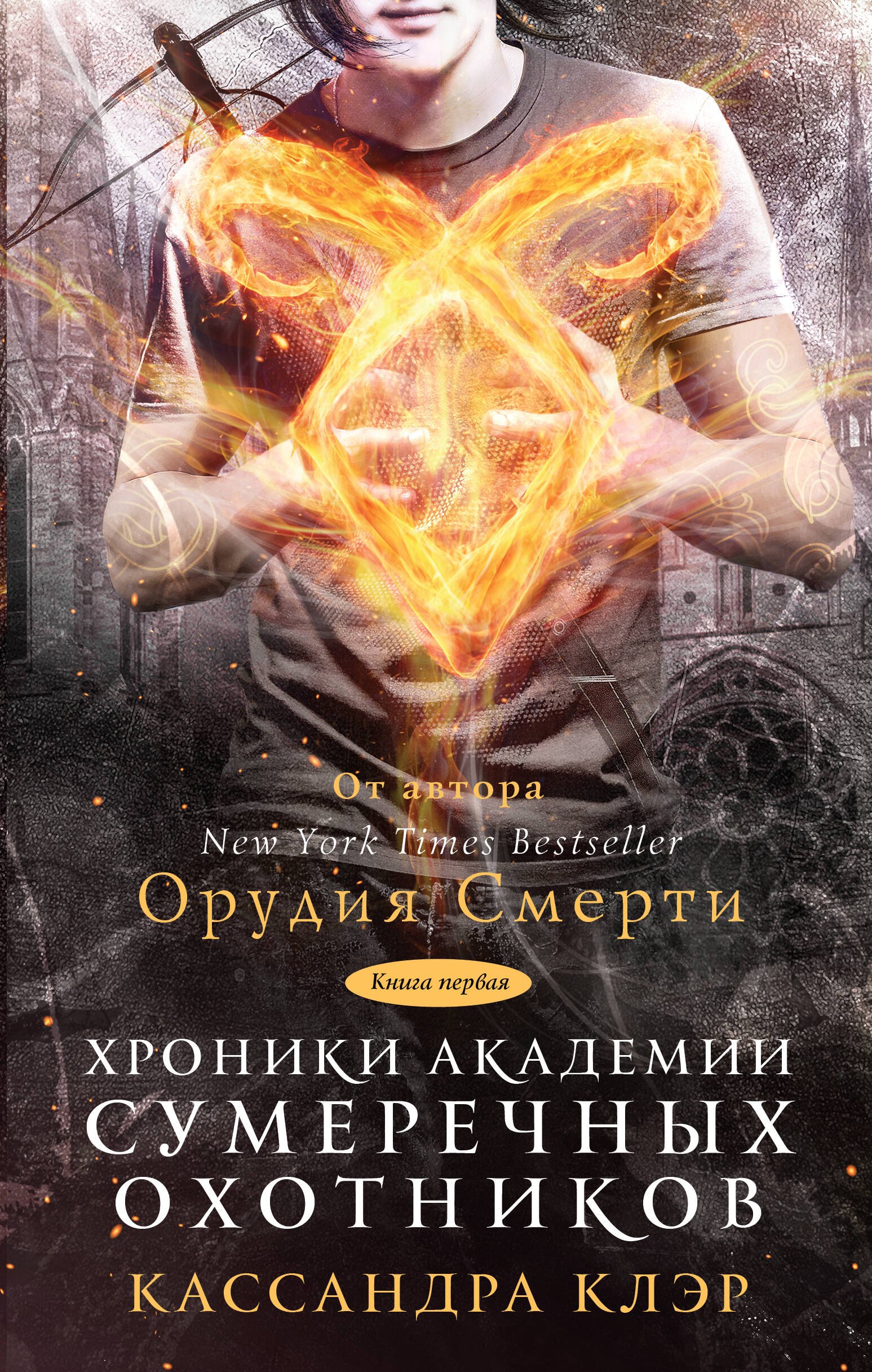

Хроники Академии Сумеречных охотников. Книга 1
