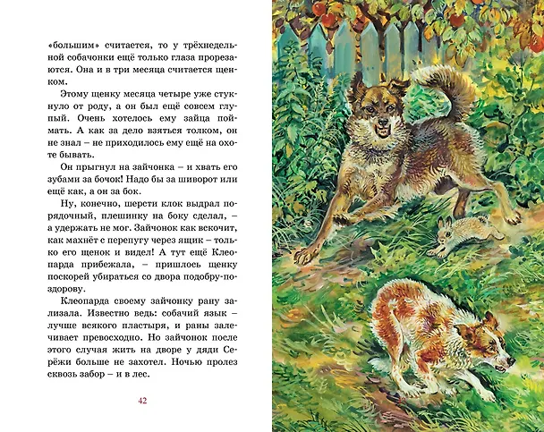 Книга Рассказы о животных (Виталий Бианки) — 14