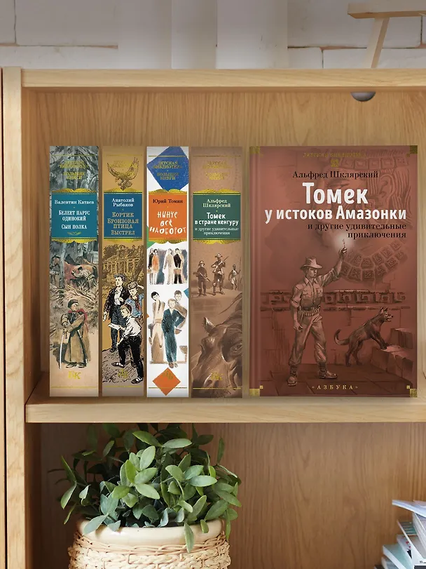 Книга «Томек у истоков Амазонки» и другие удивительные приключения (Альфред Шклярский) — 11