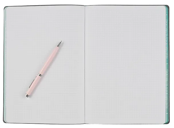 Книга для записей А4- 80л "Dream book. № 3" иск.кожа, комбинир.блок (точка, клетка), инд.уп. 3009293 — 3