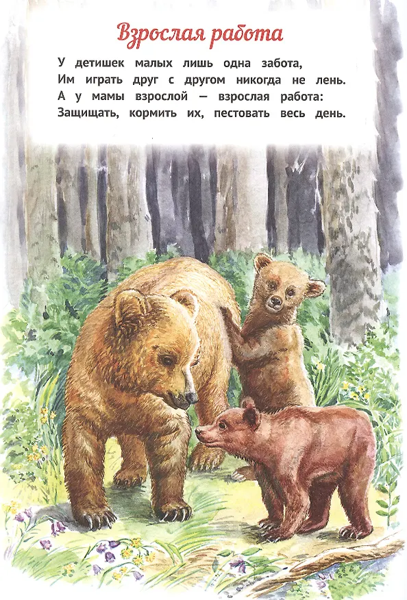 Книга Мы - родные! (Ирина Романова) — 3