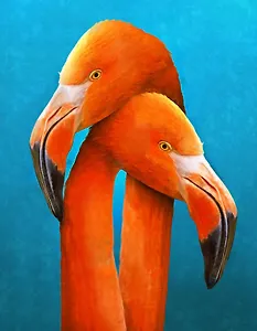 Алмазная мозаика (классическая), с подрамником, с полным заполнением, 13 цветов "Милующиеся фламинго"