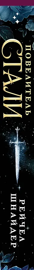 Книга Повелитель стали (Рейчел Шнайдер) — 4