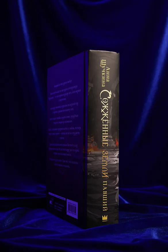 Книга Сожженные земли. Павший (Анна Щучкина) — 11