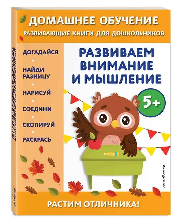 Книга Развиваем внимание и мышление: для детей от 5 лет (Беркай Динч) — 5