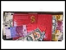 Пенал с зажимом "Кошелек" 12*20см пластик 491611