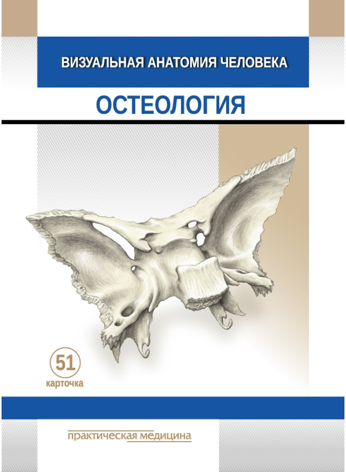 Визуальная анатомия человека: Остеология: учебное пособие (51 карточка)