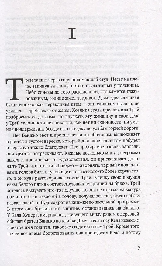 Книга Охотник. Роман (Тана Френч) — 3