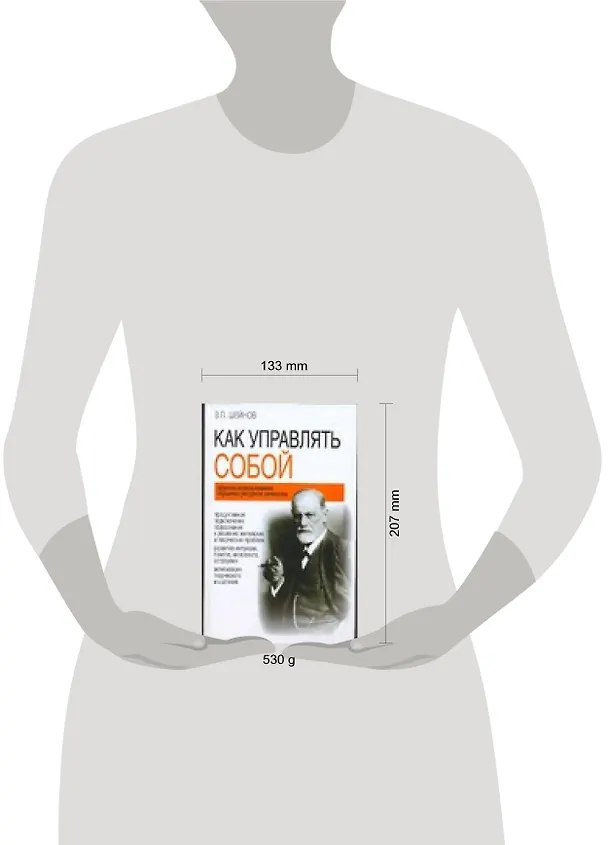Книга Как управлять собой (Виктор Шейнов) — 2