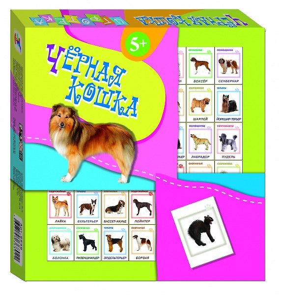 НИ Черная кошка Игротека (2549) (5+) (коробка) 2360804 — 1