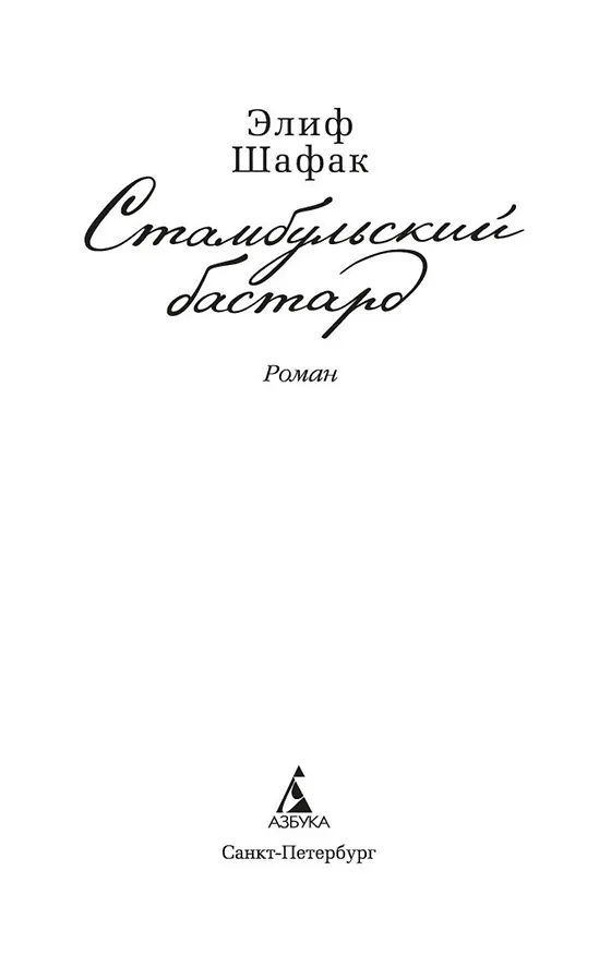 Книга Стамбульский бастард (Элиф Шафак) — 5