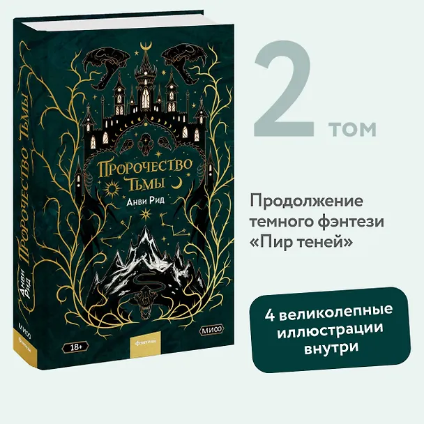 Книга Пророчество тьмы (Анви Рид) — 4