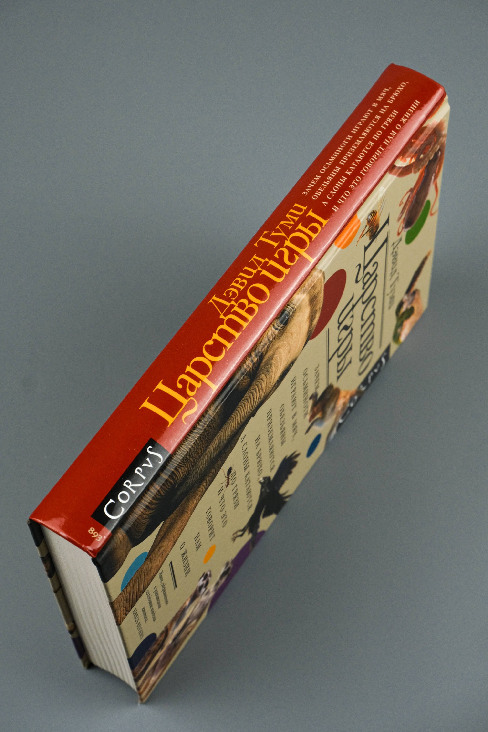 Изображение бумажной книги