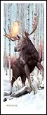 Закладка 3D Moose (Листопадова) 2272543 — 2