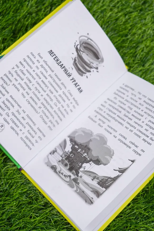 Книга Пугашки. Лесные истории () — 12