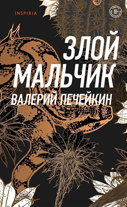Книга Злой мальчик (с автографом) (Валерий Печейкин) — 1
