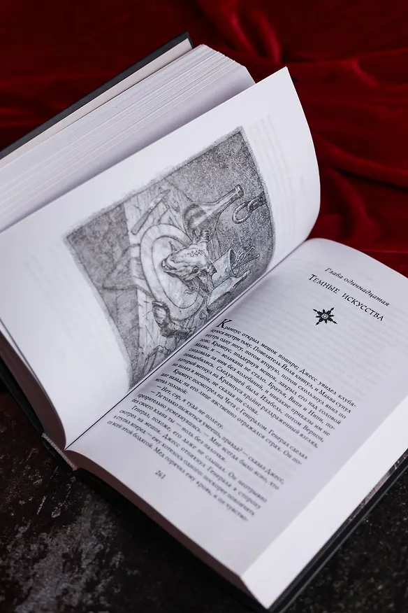 Книга Похититель детей (Джеральд Бром) — 10