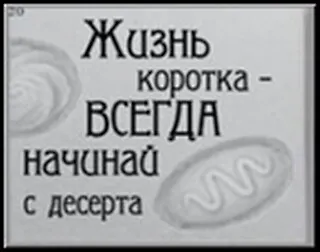 Сувенир, Открытое письмо, Магнит H&H - Жизнь коротка 2300921 — 1