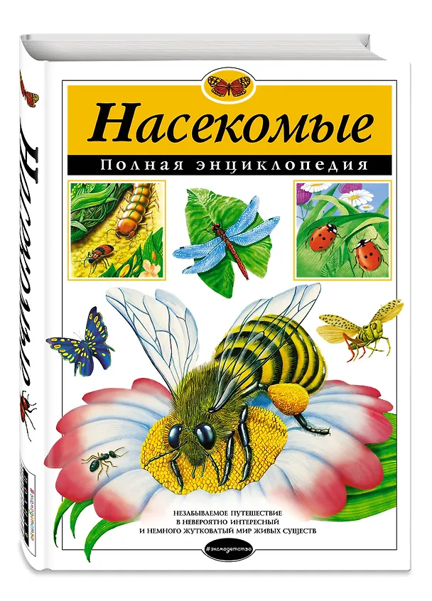 Книга Насекомые. Полная энциклопедия (мел.) (Тамара Грин) — 5