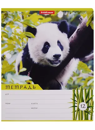 Тетрадь в клетку Erich Krause, "Панды", 12 листов, в ассортименте 246922