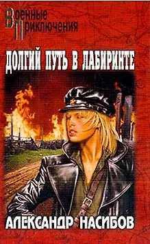 Книга Долгий путь в лабиринте : роман (Александр Насибов) — 1
