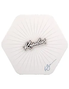 Значок белый Кировск (Кировск) (мур З-301а)