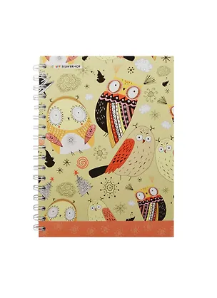 Тетрадь в клетку Silwerhof, "Глаза в глаза", 120 листов 234700