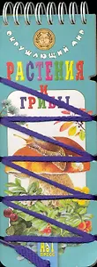Волшебный шнурок. Окружающий мир. Растения и грибы.