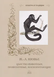 Царство животных. Позвоночные. Млекопитающие