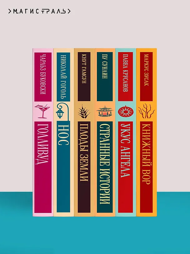 Книга Сансиро (Сосэки Нацумэ) — 13