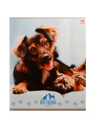 Тетрадь в клетку Unnika, "Собаки и кошки", 48 листов, в ассортименте 240802