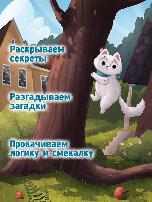 Книга Агент Кефирка и дело о пропавшем зеркале (Этери Заболотная) — 5