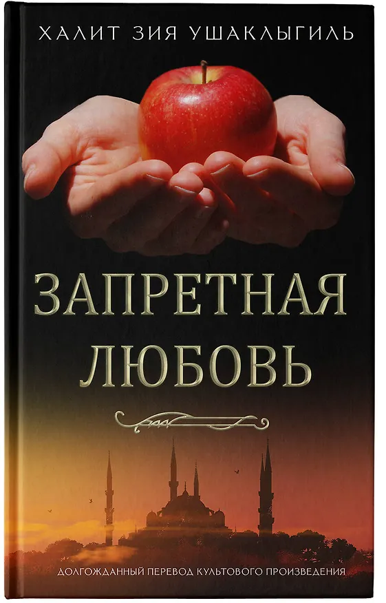 Книга Запретная любовь (Халит Зия Ушаклыгиль) — 6