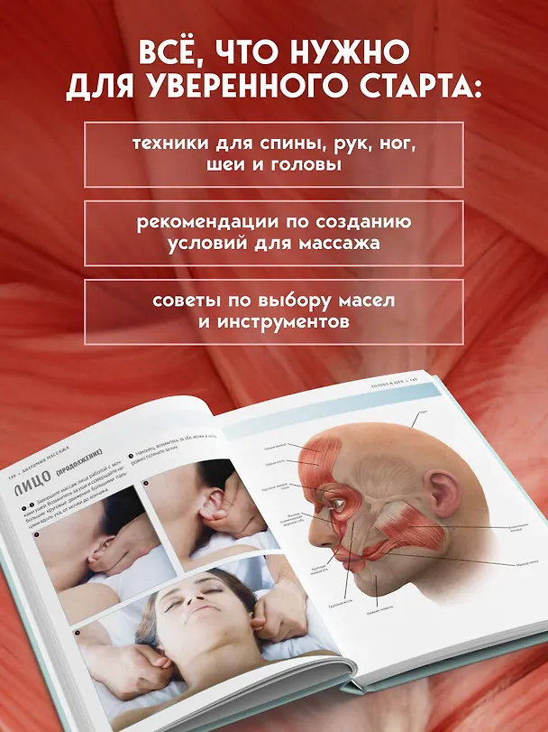 Книга Анатомия массажа. Основы массажа нижней и верхней части тела с анатомическими иллюстрациями (Абигейл Эллсуорт) — 7