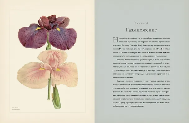 Книга Ботаника для садоводов (Джефф Ходж) — 8