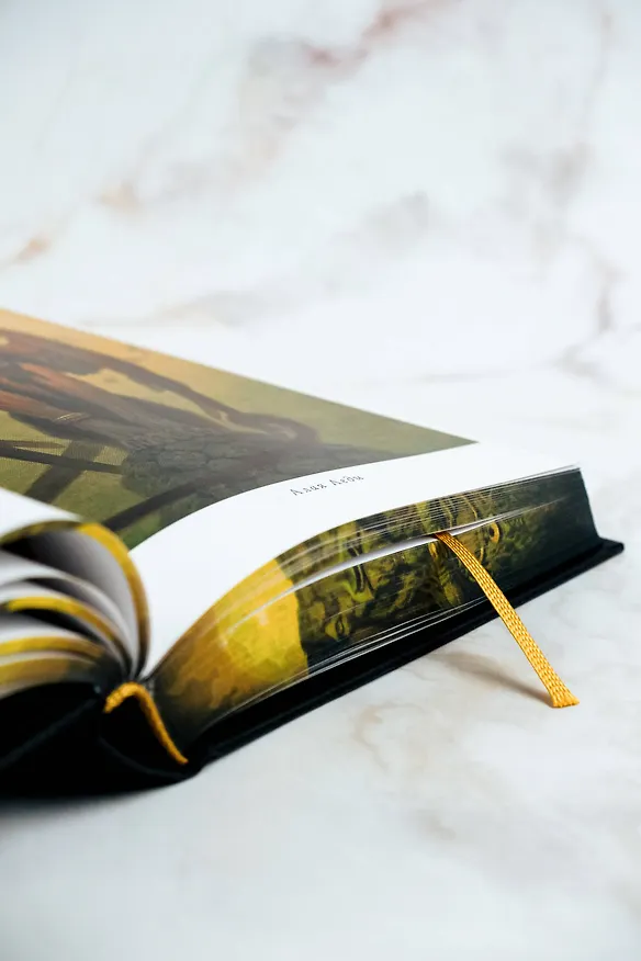 Книга Потерянные боги (Джеральд Бром) — 17