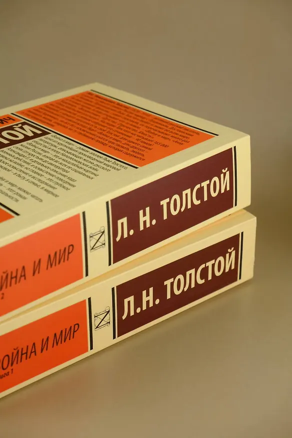 Книга Война и мир. Книга 2 (Лев Толстой) — 8