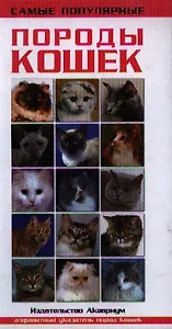 Самые популярные породы кошек
