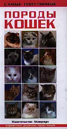 Самые популярные породы кошек — 2187460 — 1